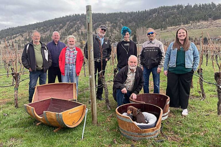 Penticton-Pet-Beds-At_The_Winery
