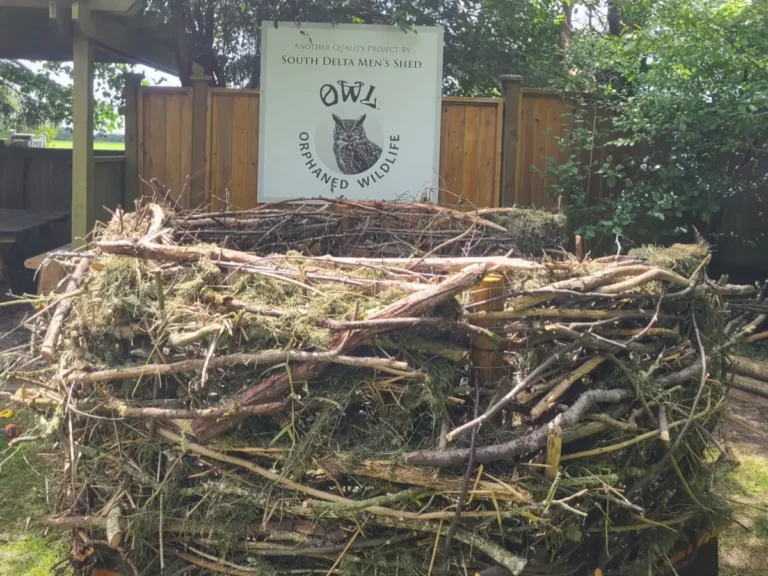 South Delta Men's Shed - OWL - Nest 2